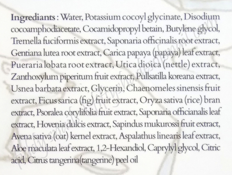 Treeannsea Liquide Mousse Foam cleanser English ingredients